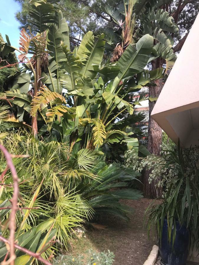Apartamento 19 Rue Du Parc Alexandre III Cannes Exterior foto